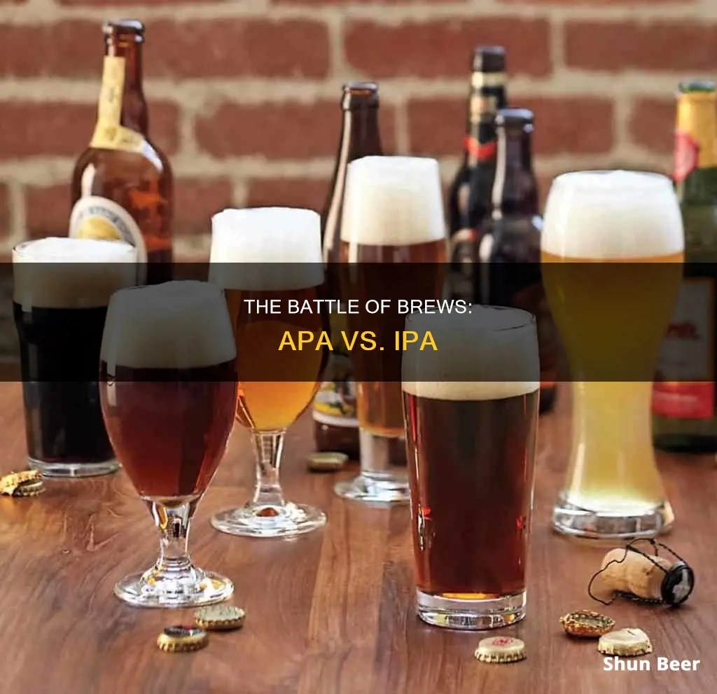 a.p.a beer vs ipa