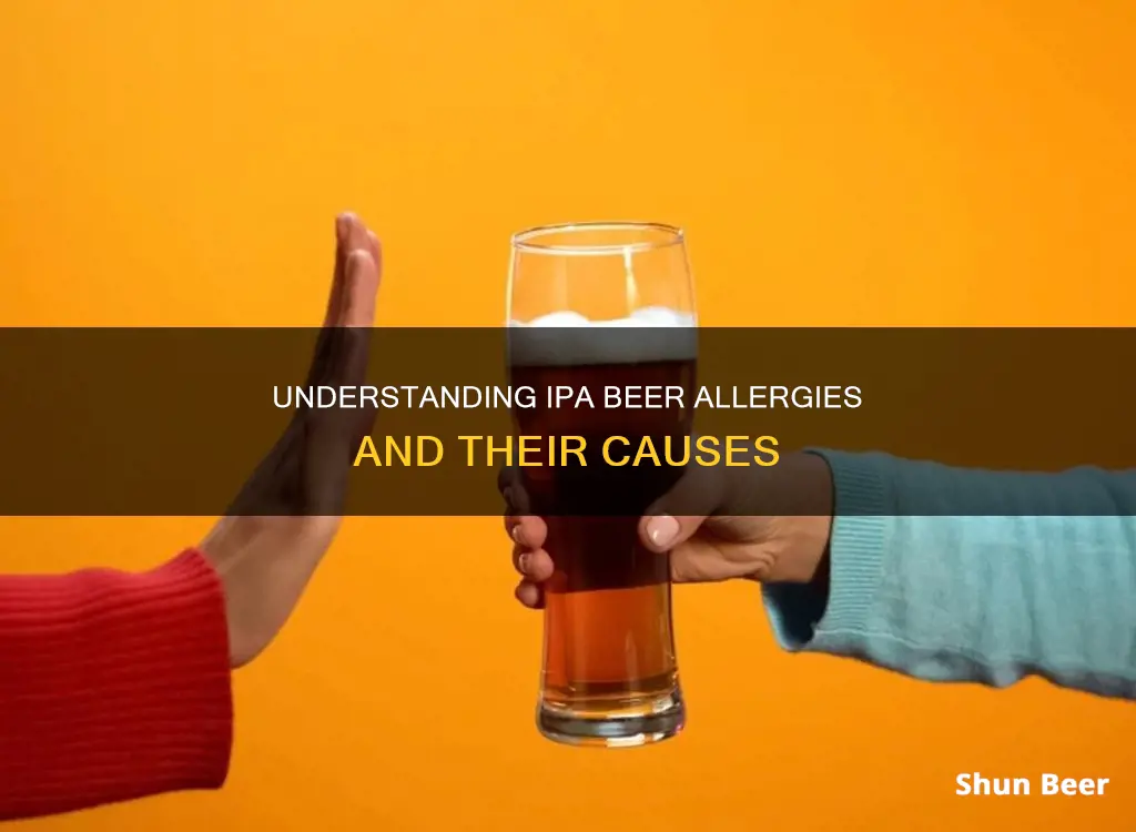 am I allergic to ipa beer