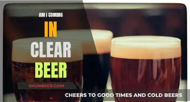 Is Your Beer Cloudy? Tips for Clarity