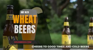 Explore the Unique, Fruity World of Ales Wheat Beers