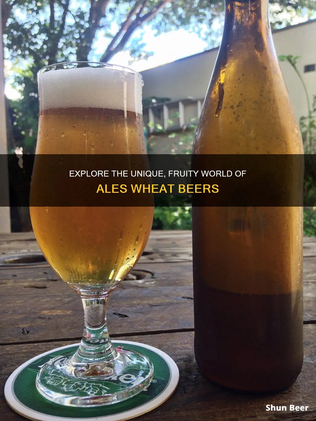 are ales wheat beers