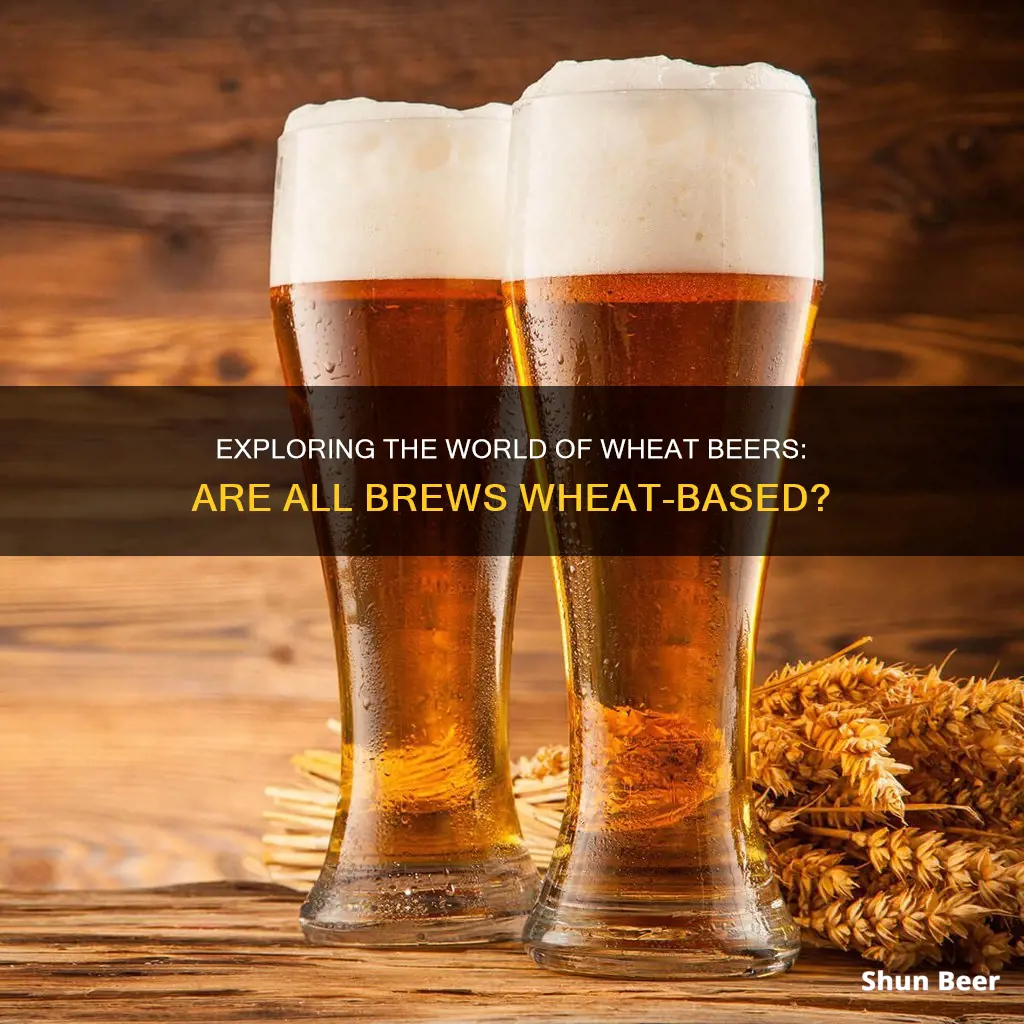 are all beers wheat based