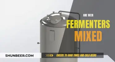 The Art of Fermentation: Exploring Mixed Beer Fermenters