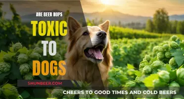 Hops Toxicity in Dogs: Beer Hops' Harmful Effects