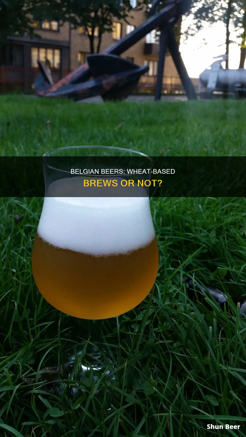 are belgian beers wheat