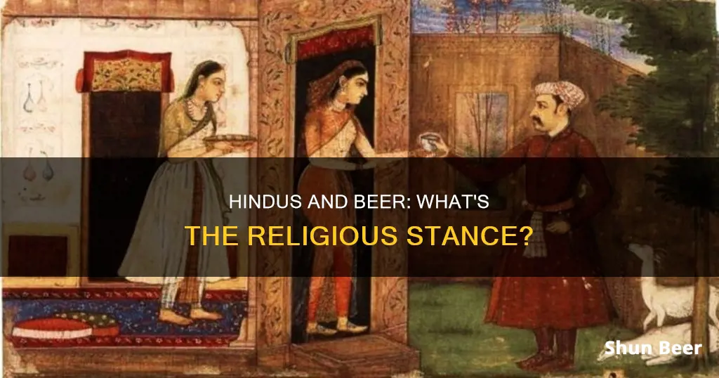 are hindus allowed to drink beer