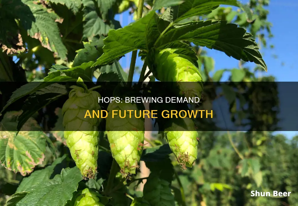 are hops for making beer in demand