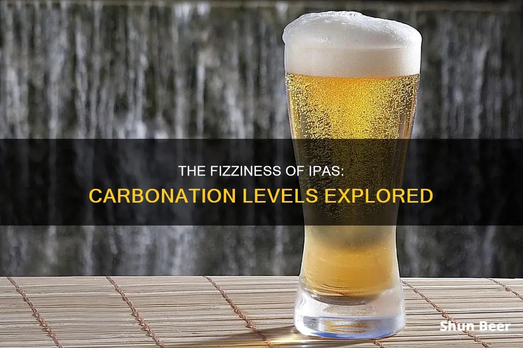 are ipa beers carbonated