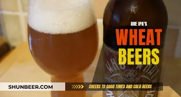 IPAs and Wheat Beers: What's the Connection?