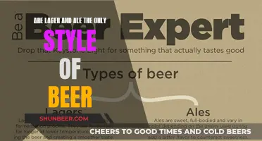 Beyond Lager and Ale: Exploring the World of Beer Styles