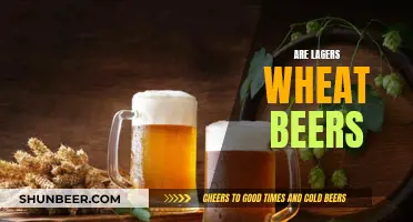 Lagers and Wheat Beers: What's the Difference?