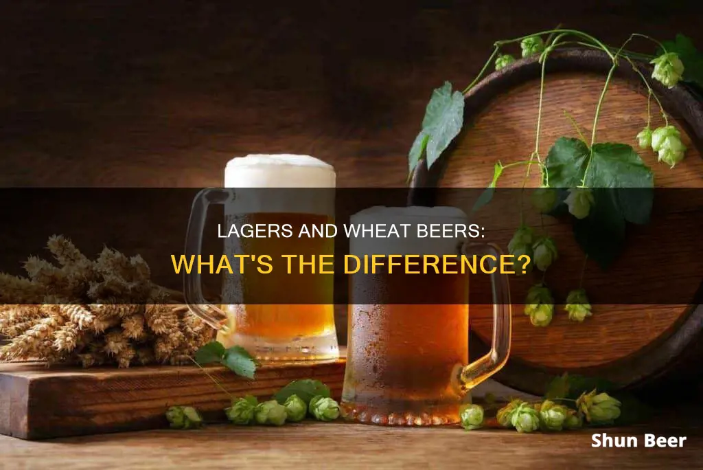 are lagers wheat beers