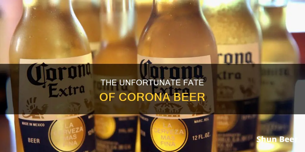 are people really not drinking corona beer