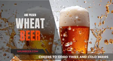 The Pilsner and Wheat Beer Divide: What Sets Them Apart?