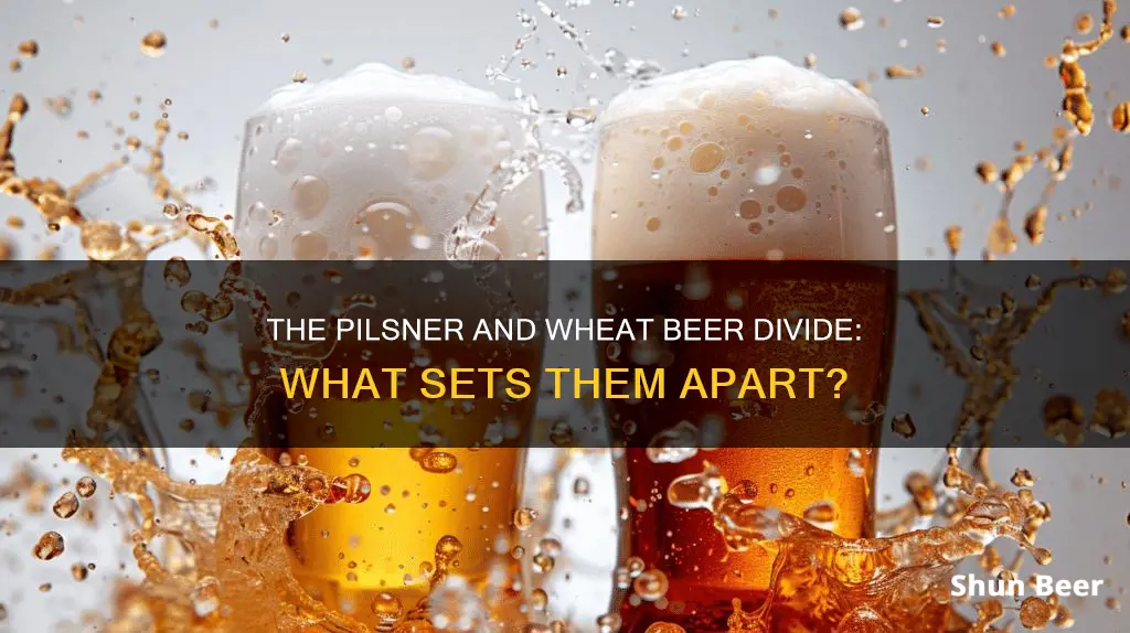 are pilser wheat beer