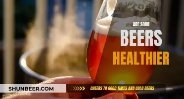 Sour Beers: Health Benefits or Just a Tangy Treat?