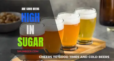 Sour Beers: High Sugar Content or Healthy Choice?