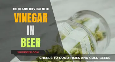 Hops in Beer and Vinegar: What's the Connection?