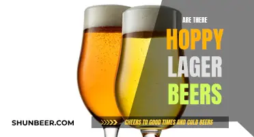 Hoppy Lager: Exploring the Unexpected Harmony of Bitter and Light