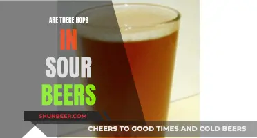 Sour Beers: Do They Have Hops?