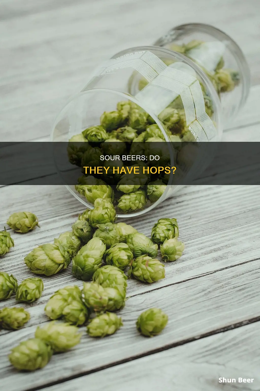 are there hops in sour beers