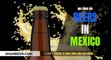 IPA Beers in Mexico: Exploring the Craft Scene