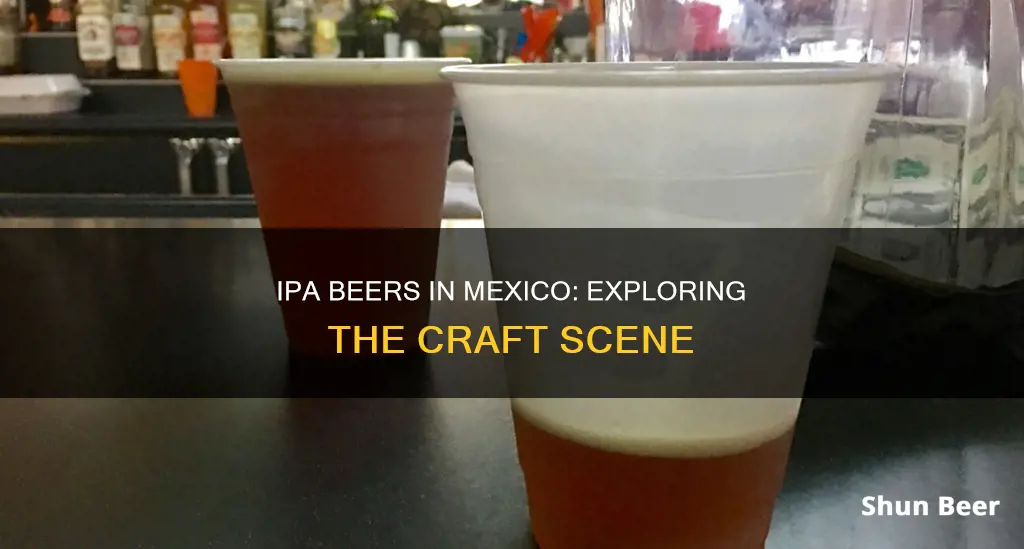 are there ipa beers in mexico