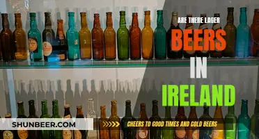 Exploring Ireland's Lager Scene: A Beer Lover's Guide