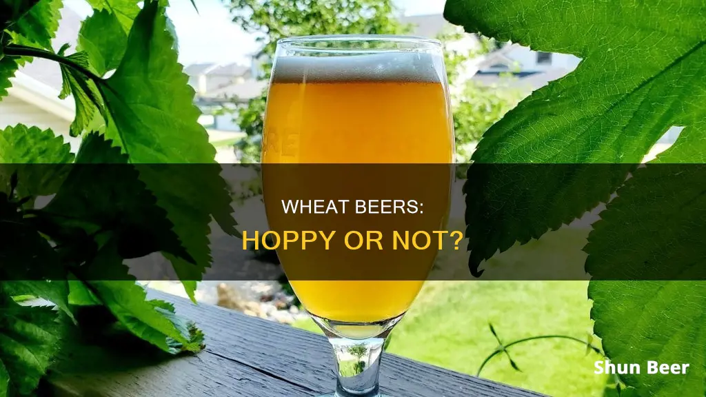 are wheat beers hoppy