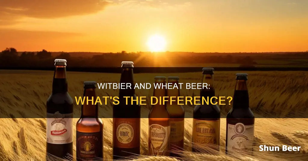 are witbier and wheat beer different