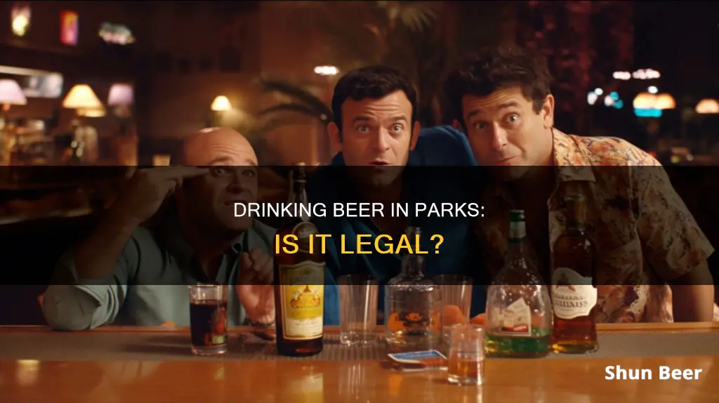 are you allowed to drink beer at the park