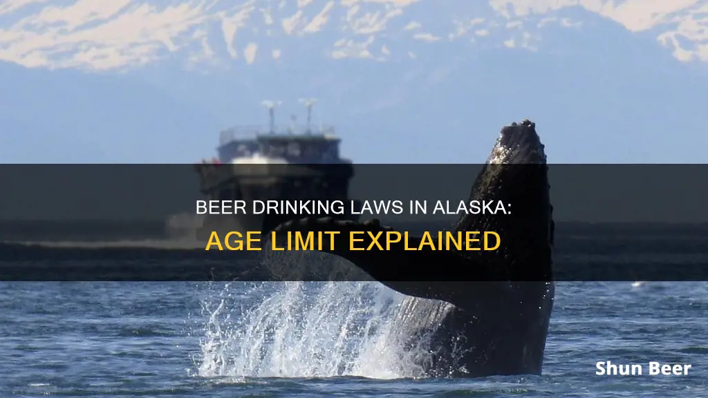 can 19 yo drink beer in alaska