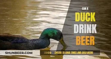 Ducks and Beer: A Curious Conundrum