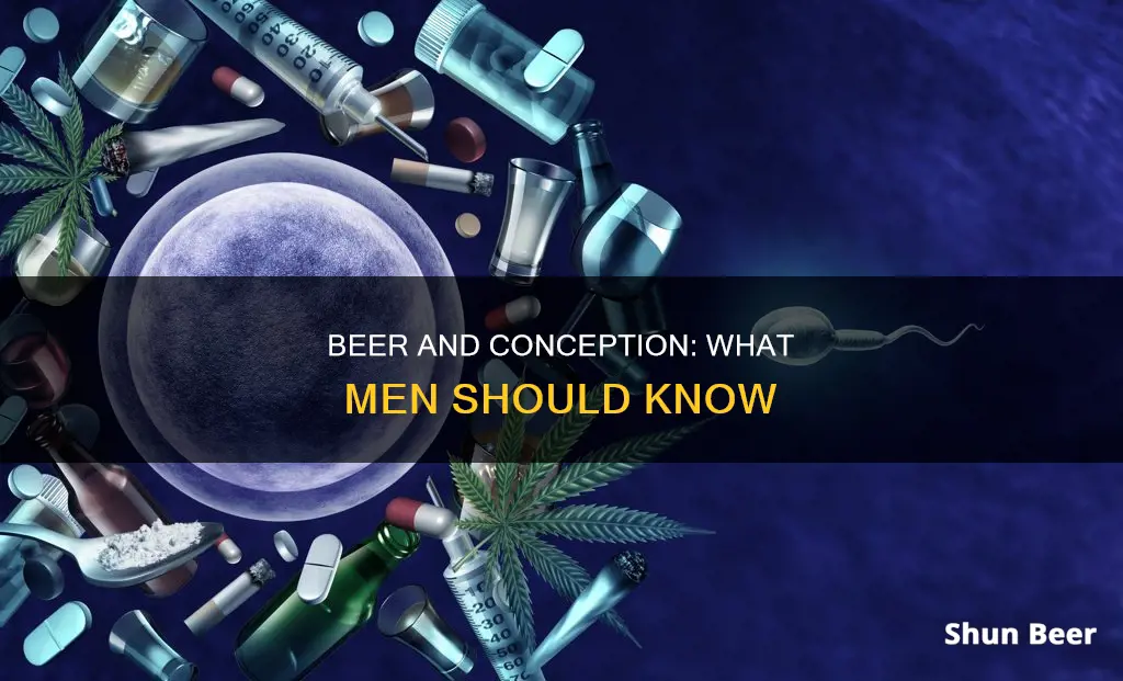 can a man drink beer when trying to conceive