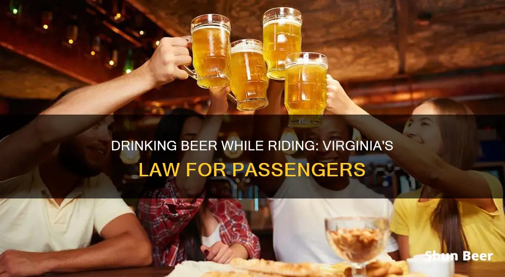 can a passenger drinka beer in Virginia