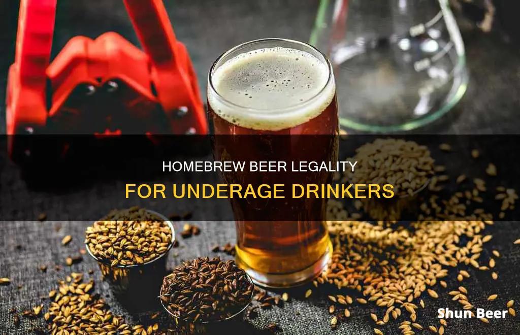 can an 18 year old drink homebrew beer legally