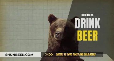 Beer and Bears: A Dangerous Mix?