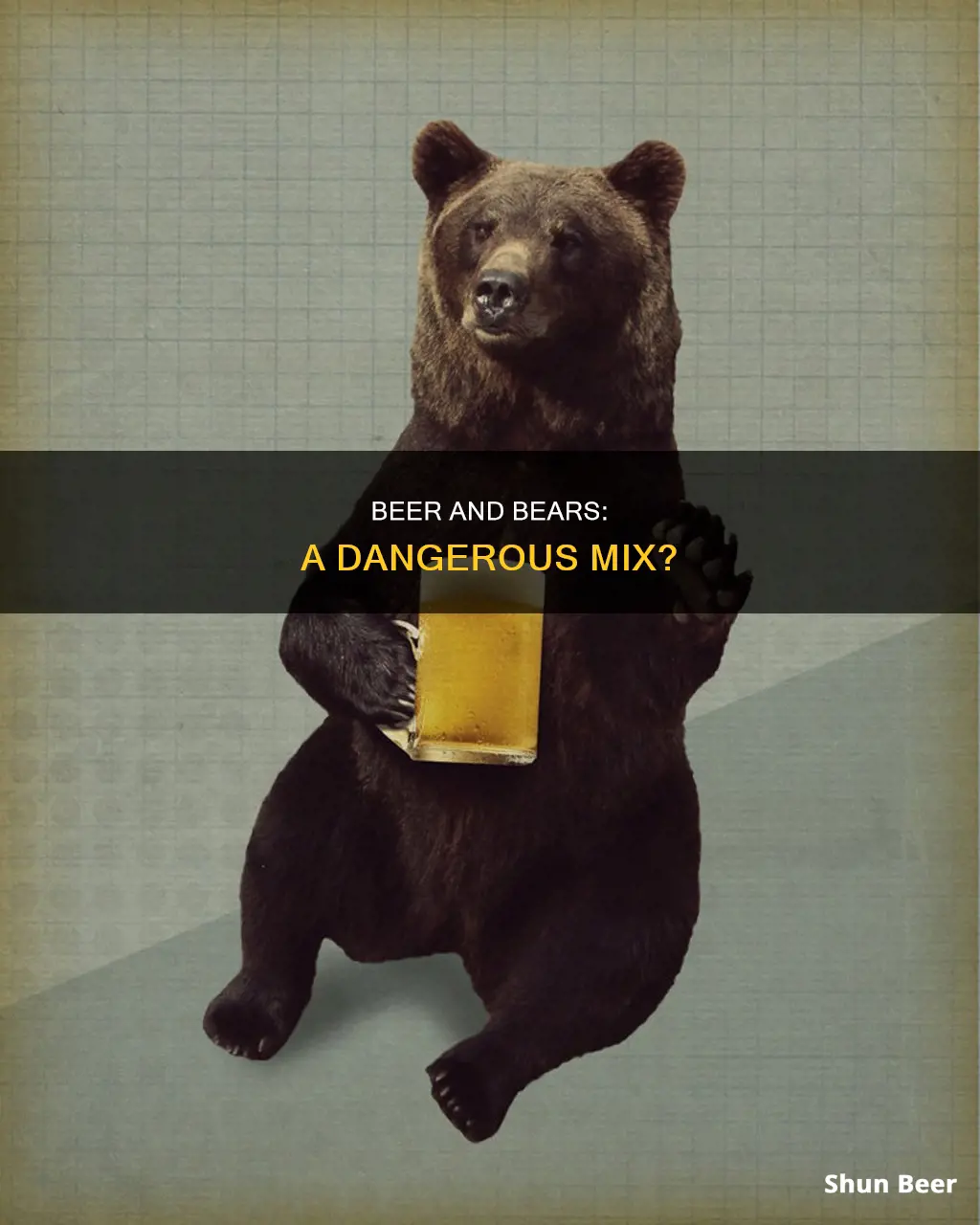 can bears drink beer