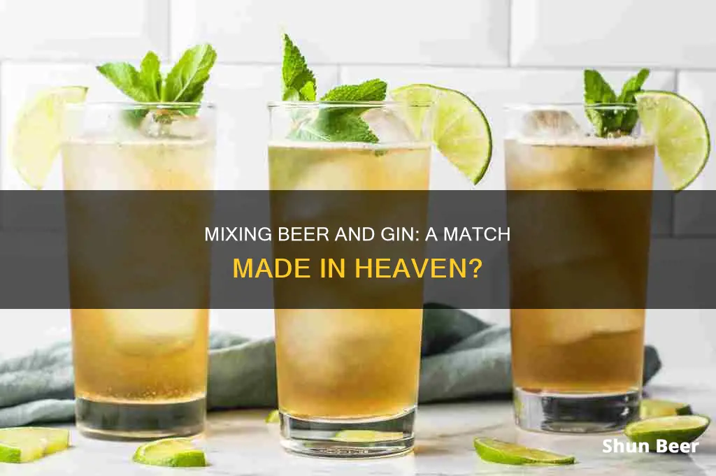 can beer and gin be mixed into one drink