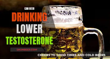 Beer Drinking: Lowering Testosterone Levels in Men