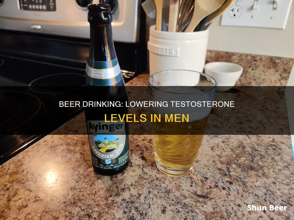 can beer drinking lower testosterone