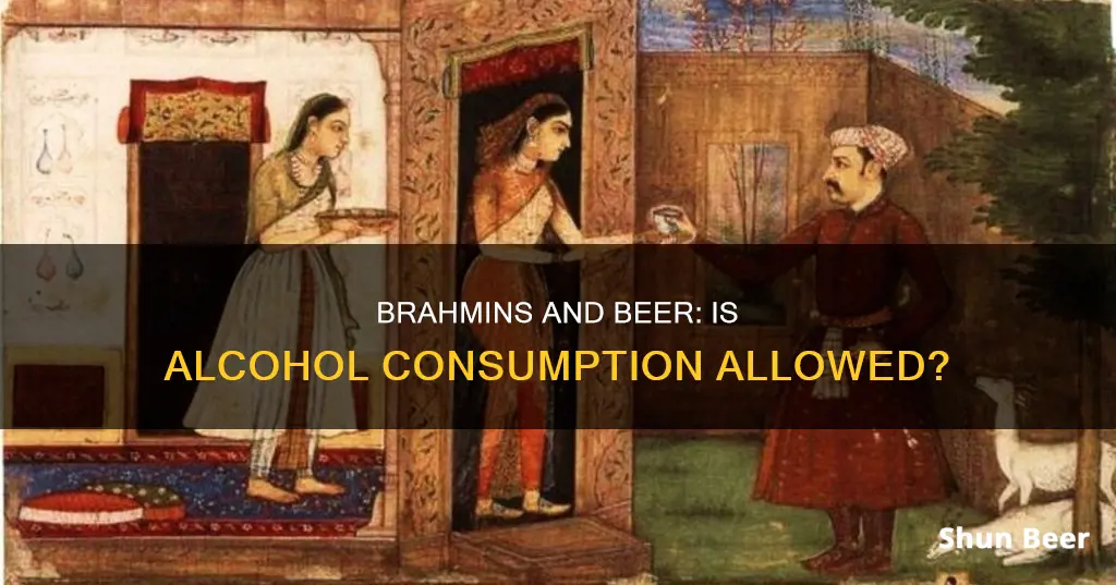 can brahmins drink beer