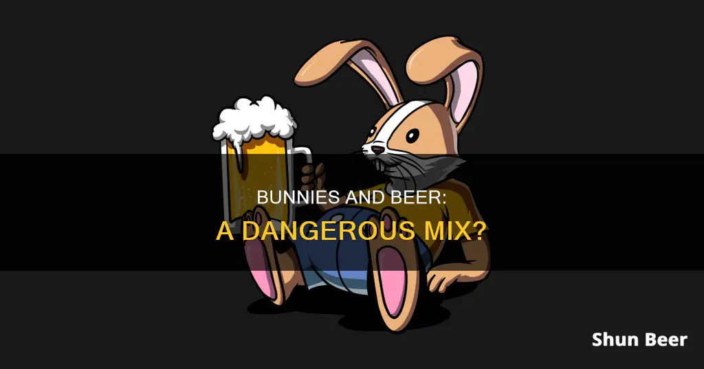 can bunnies drink beer