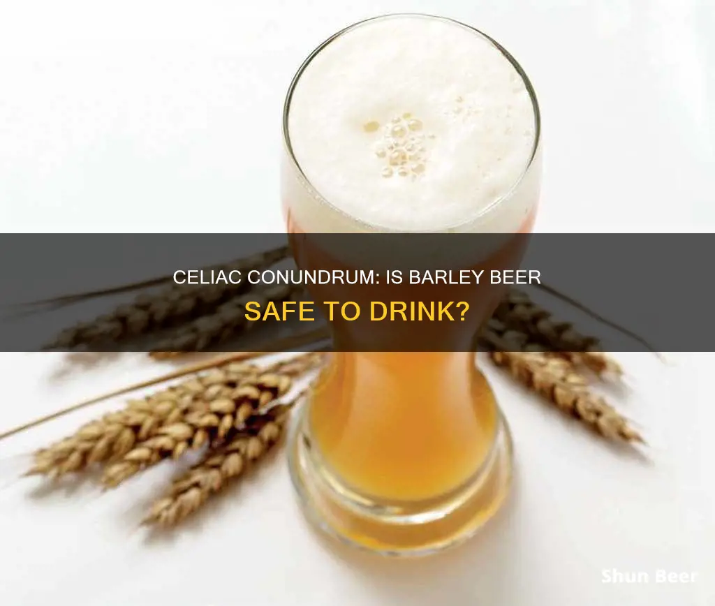 can celiac drink barley beer