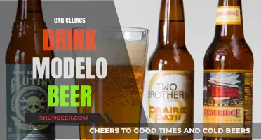 Celiac-Friendly Modelo Beer: Is It Safe to Drink?