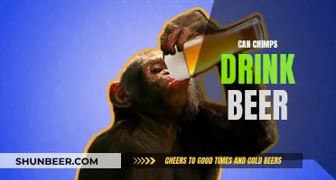 Chimp Beer Drinking: What's the Science Say?