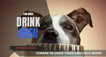 Dogs and Beer: What's Safe for Your Pet?