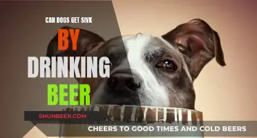 Dogs and Beer: Can It Make Your Pup Sick?