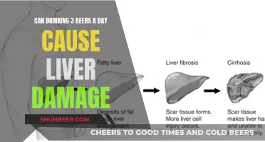 Beer Consumption and Liver Damage: How Much is Too Much?