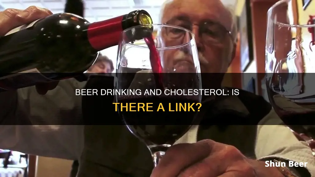 can drinking 3 beers a day raise cholesterol